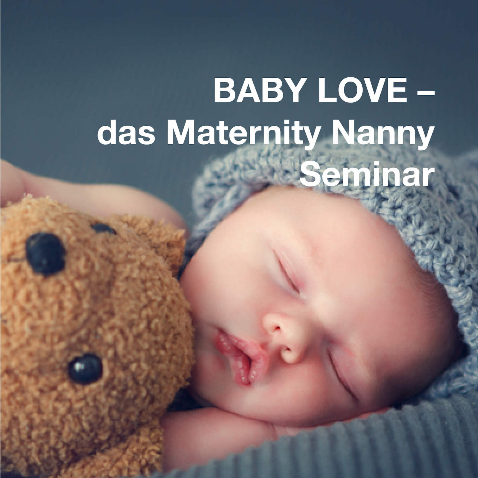 Baby Love Das Seminar Fur Maternity Nannies