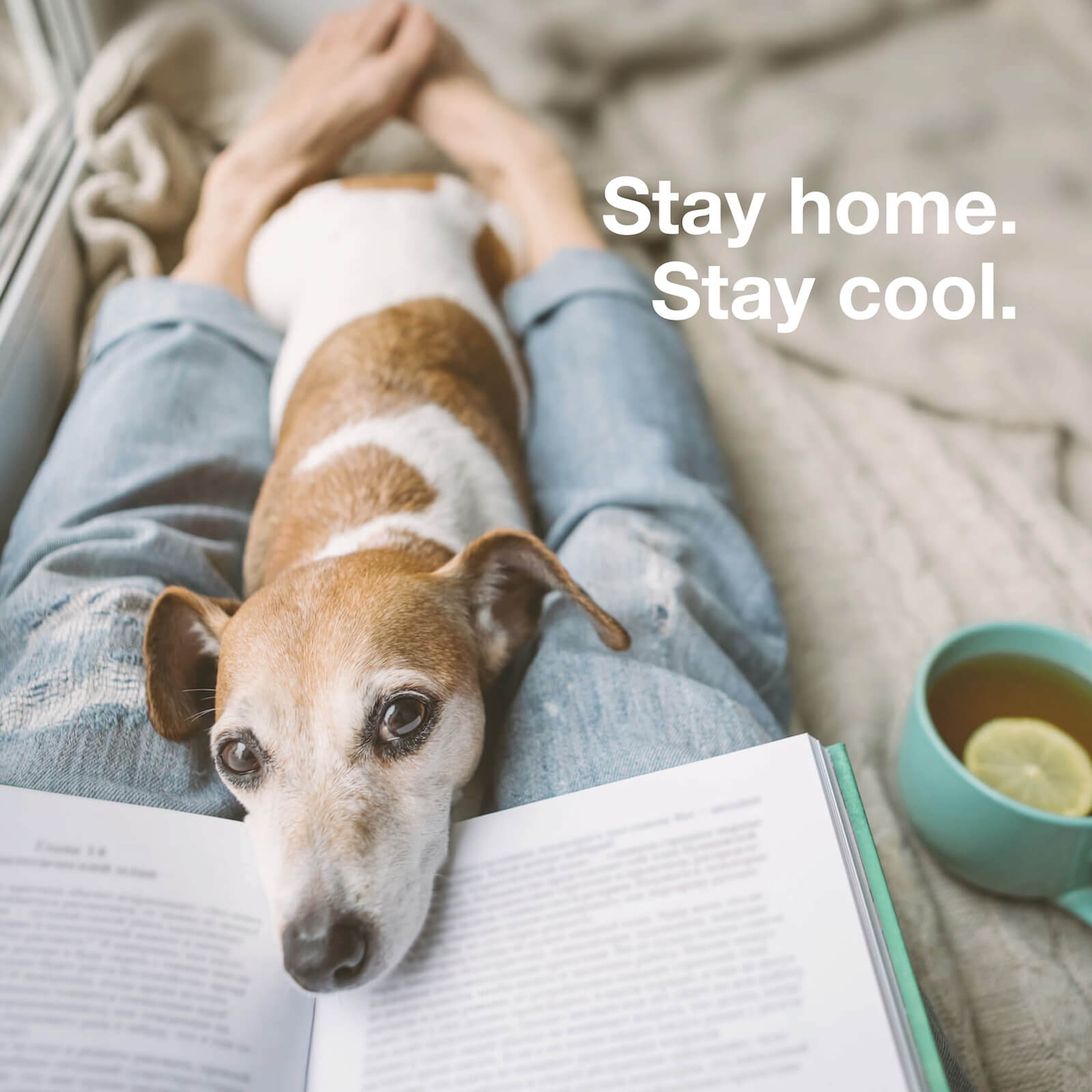 Stay home. Stay cool. #wirbleibenzuhause